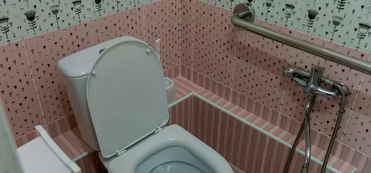 Meeting Diverse Needs With Accessible Restroom Solutions in Rock Island, IL
